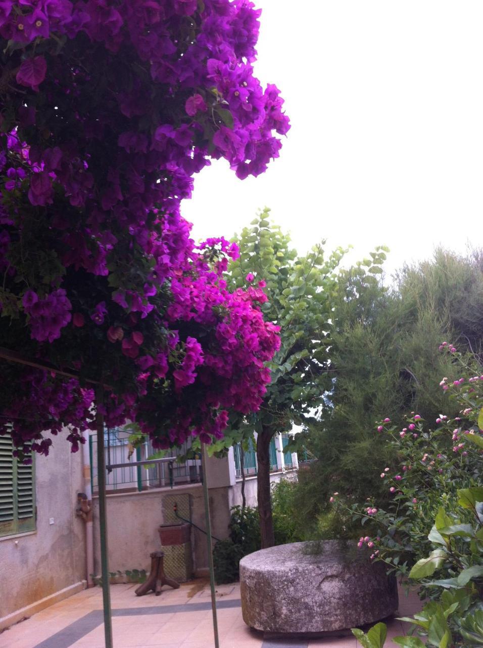 Maison d'hôtes La Fattoria à Sciacca Extérieur photo